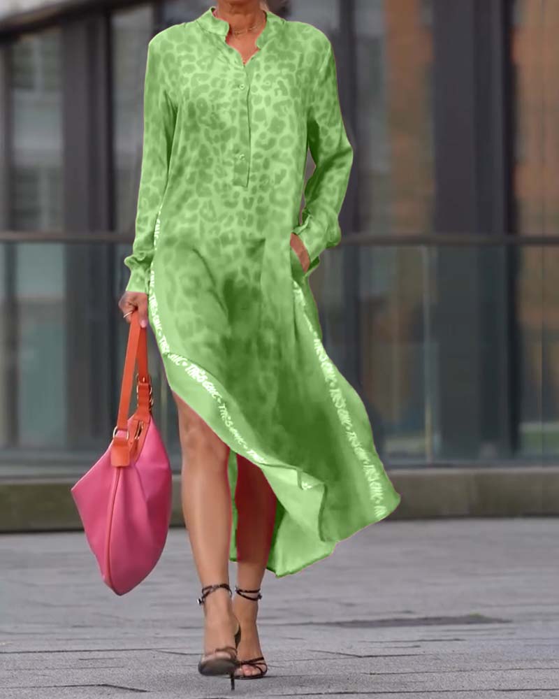 Long-Sleeve Leopard Print Dress