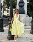 Elegant Embroidered Deep V Sleeveless Dress